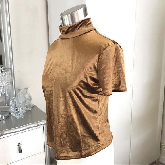 Zara Mock Neck Top Velvet Medium NWOT - Picture 2 of 5
